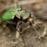 ...konečně světlo......