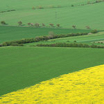 "Z" nebo "M" nebo "W" ...