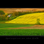 Springtime on the field