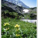 Vysoké Tatry