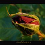 In principio