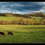 Šumavský podvečer