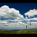 ... nic neroste do nebe ...