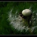 ticho pred burkou...