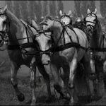 Těsně před cílem