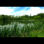 pozdní odpoledne u vody