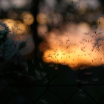 Tak kluci, držte se a jedem!