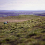 na golfovém hřišti