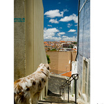 Lisboa