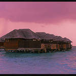 FIHAL