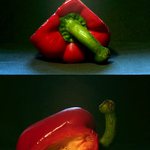 Jednou jsi dole jednou nahoře