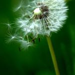 az pride nove jaro a nova nadej..