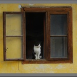 Aké búranie ?! Ešte tu bývam ja !!