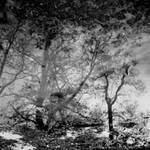 Obrázce všude kolem nás