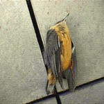 jen si na chvilku zdřímnout