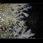 Pláč andělských šiků