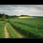 zamračená