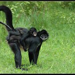 ... pojďme, mami, někam, kde není tolik lidí ...