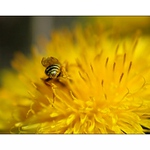 ... nějakej zadeček ...