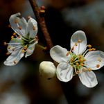 Pojď to taky rozbalit!!!