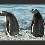 ... ty aby ses taky za každou neotočil !