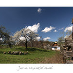 Jar na krupinských lazoch