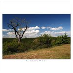 Moravskokrumlovský Floriánek