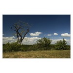 Florián trochu jinak