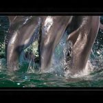 -=Přeskoč, přelez, ale nepodlejzej...=-