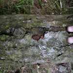 Ruka od popola III. Evidentny koniec serie :)