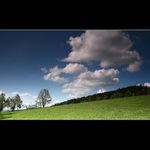 V oboře - Počátka