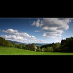 V oboře - Počátka III