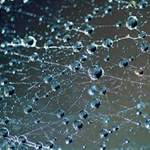 ...soukromý vesmír...