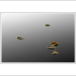 Poklad na Stříbrném jezeře