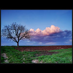 ...mrak za ořechem...