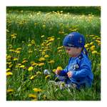 v pampeliškách II.