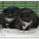 co to na nás míří?