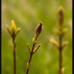 Jarní sluneční koupel