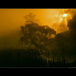 Na Ploučnici svítá ...