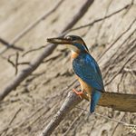 nerušit prosím, bude se večeřet ... :)