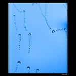 .: Jen pár kapek :.