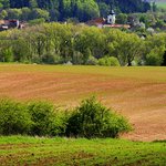 Hředle