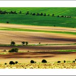 Jede auto krajinou, jede asi za jinou..