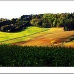 Zemědělci společně s přírodou už zase malují