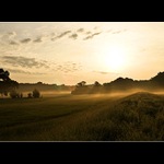 ..::Rano za Pohanskem::..