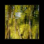 *mezi nebem a zemí*