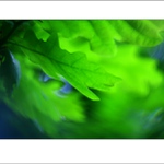 lesná abstrakcia III...