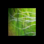 lesná abstrakcia VIII...