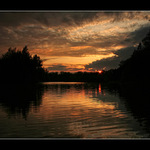 Kýčovitá západovka