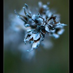 Ve výšinách mikrosvěta